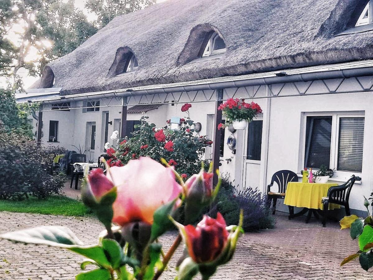 Reet Landhaus Ruegen Ummanz Kültér fotó