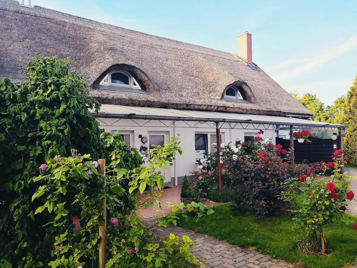 Reet Landhaus Ruegen Ummanz Kültér fotó
